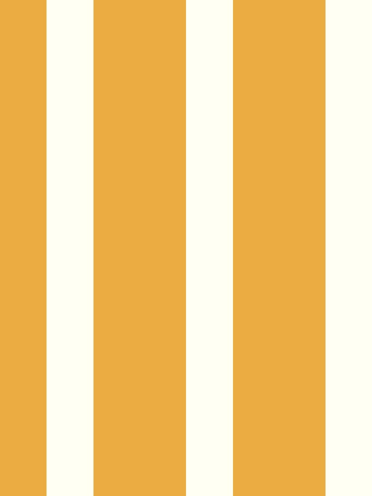 Terracotta Kimono